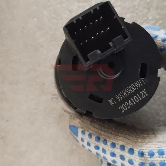 Sinotruk HOWO Rotary Light Switch Wg9918580039 Factory Price