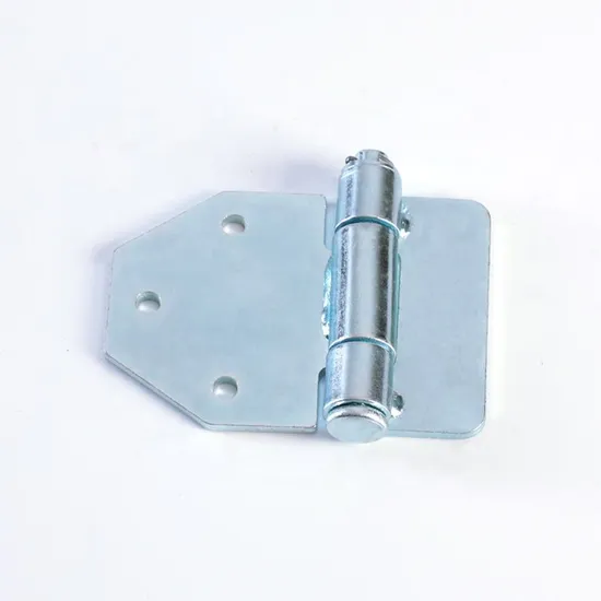 Container Steel Door Hinge Factory Price - Spare Parts