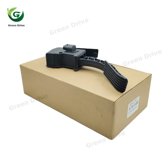 Electronic Throttle Accelerator Wg9312570010 Factory Price