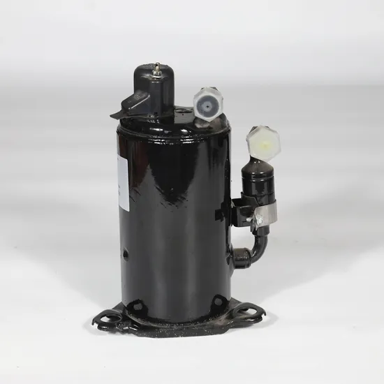 Dual-Rotary Parking AC Compressor Fast Cooling Factory Price