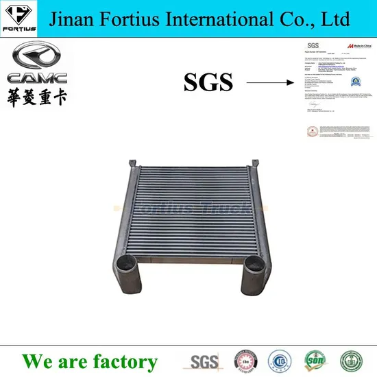 Intercooler Assembly 1119m-010 Heavy Truck Spare Parts Factory Price