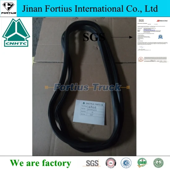 Vg14150004 Oil Pan Gasket Factory Price Truck Engine Parts