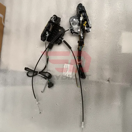 Shacman X3000 Left Cabin Door Lock Dz14251340047 Factory Price