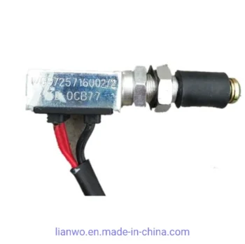 Sinotruk HOWO A7 Brake Switch Wg9725716002 Factory Price
