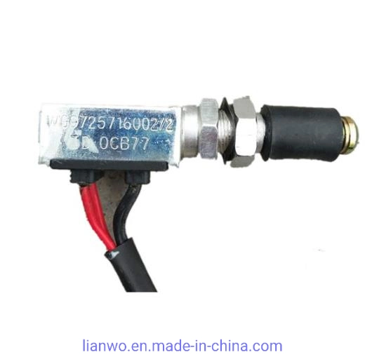 Sinotruk HOWO A7 Brake Switch Wg9725716002 Factory Price