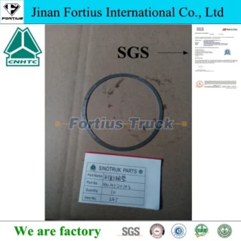 Sinotruk HOWO Balance Shaft Pad 199014520192 Factory Price