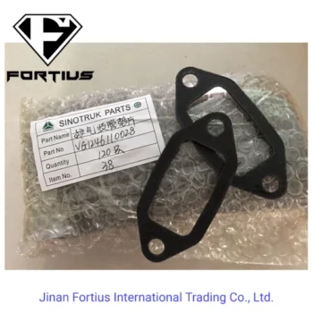 Sinotruk HOWO Exhaust Manifold Gasket Vg1246110028 Factory Price