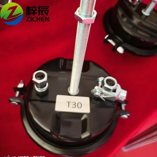 Sinotruk Brake Caliper Wg9000360600 Factory Price T30