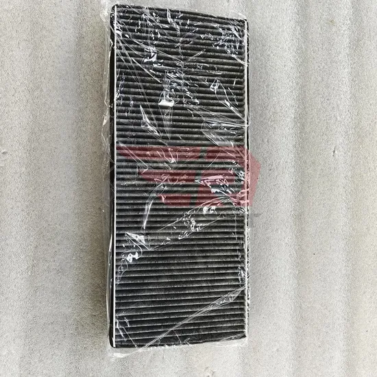 Sinotruk Sitrak AC Filter 712W61942-1304 Factory Price