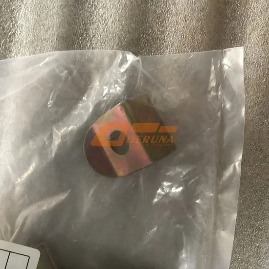 Sinotruk HOWO Sitrak Lock Plate Left Factory Price
